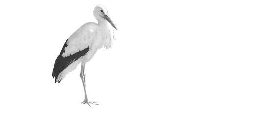 BOCIAN S.C.